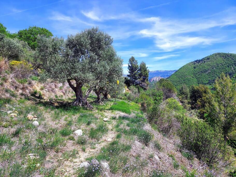 La Maison De Ninia Holiday home Digne-les-Bains